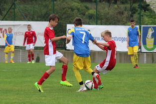 乐鱼电竞在线平台-国足比赛期间战术板应用时机整理,足球战术板软件下载 第1张 乐鱼电竞在线平台-国足比赛期间战术板应用时机整理,足球战术板软件下载 第1张