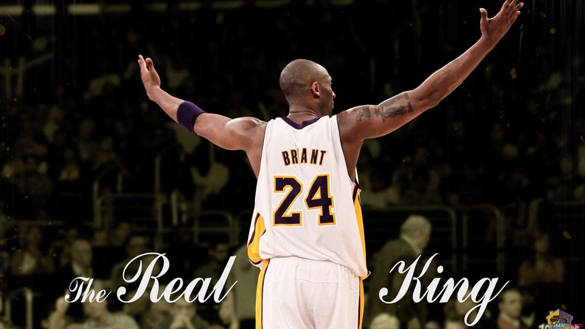 leyu乐鱼体育综合-卡特通过精湛的踢球技术，令全黑队攻防兼备，卡特十佳球