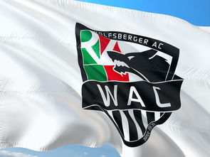 乐鱼官网-中国足球媒体与球迷之间的沟通误区与信任重建，中国足球球迷的心声