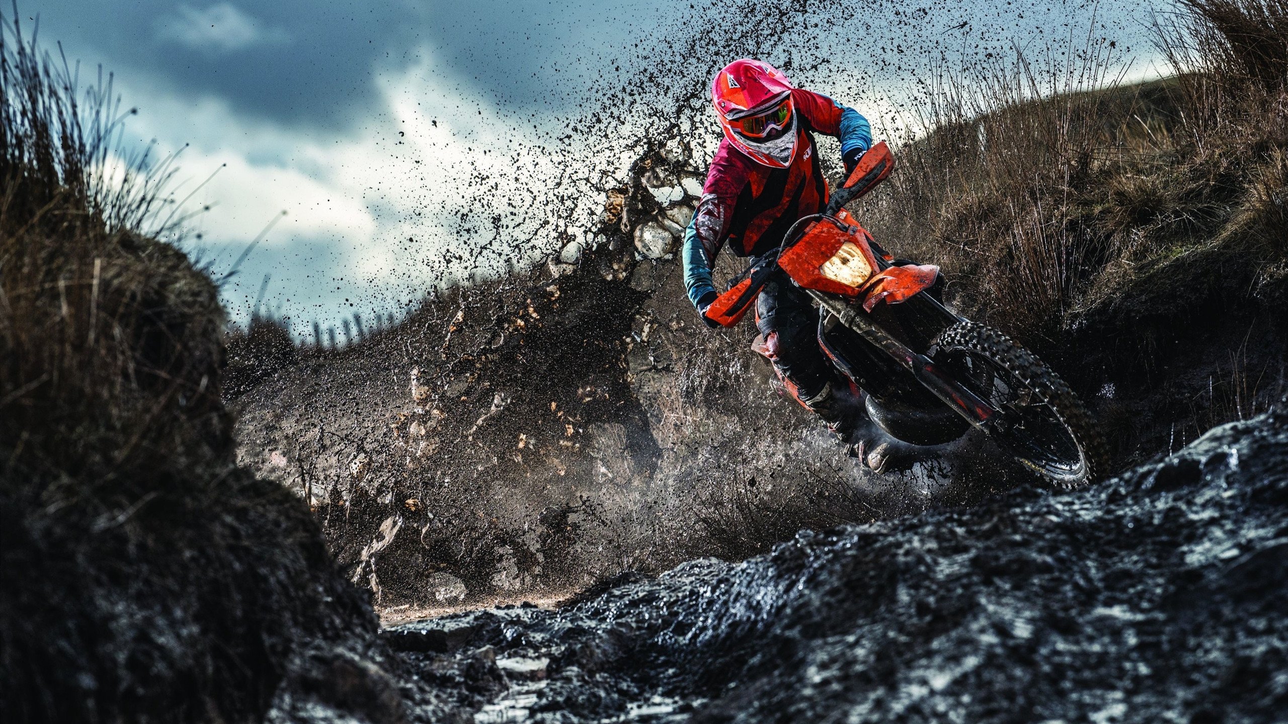 居家健身最佳训练动作，居家健身最好的方式